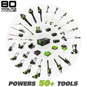 Greenworks Pro 80V 10 inch Brushless Cordless Polesaw, 2Ah Battery and Charger Included PS80L210