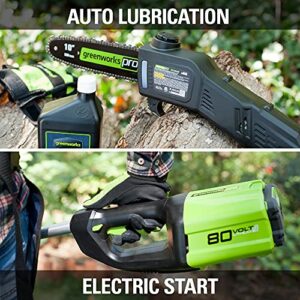 Greenworks Pro 80V 10 inch Brushless Cordless Polesaw, 2Ah Battery and Charger Included PS80L210