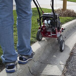 SOUTHLAND SWLE0799 79cc Walk Behind Gas Lawn Edger