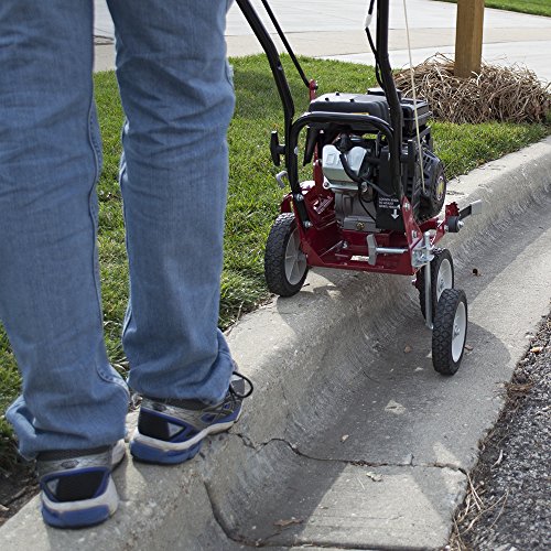 SOUTHLAND SWLE0799 79cc Walk Behind Gas Lawn Edger