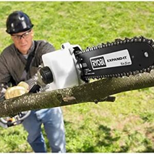 Ryobi Expand-It 10 in. Universal Pole Saw Attachment