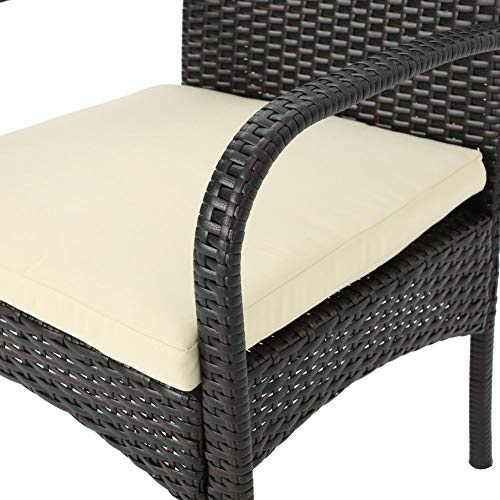 Christopher Knight Home Cordoba Outdoor PE Wicker Dining Chairs, 2-Pcs Set, Multibrown