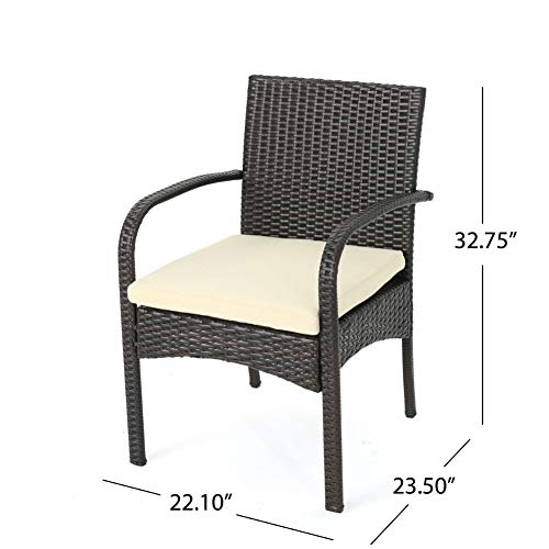 Christopher Knight Home Cordoba Outdoor PE Wicker Dining Chairs, 2-Pcs Set, Multibrown