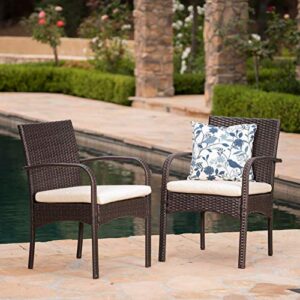 Christopher Knight Home Cordoba Outdoor PE Wicker Dining Chairs, 2-Pcs Set, Multibrown