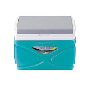 Picnic Cooler – 4.5 Liter Hard Cooler – Coolbox Keeps Contents Cool for 48 Hours – BPA Free Outdoor Cooler – Portable Cooler for Picnics, Grill, Camping (Sky Blue)