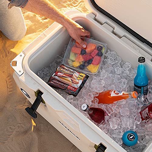 Lifetime 65 Quart High Performance Hard Cooler