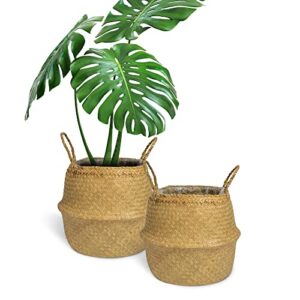 gaiamade set of 2 woven seagrass basket with handles and liner for plant pot, belly basket, storage basket, wicker baskets, basket for plant baskets indoor, natural seagrass basket, size ml