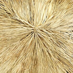 Forever Bamboo Mexican Palm Thatch Umbrealla Cover, 12ft D