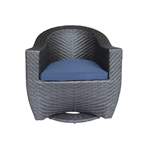 Christopher Knight Home 306023 Koch Outdoor Wicker Swivel Chair, Dark Gray, Multi Brown/Navy