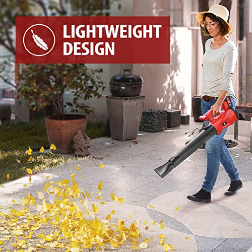 MOKENEYE 20V Cordless Power Leaf Blower 120MPH 350CFM 4.0Ah and 2.0Ah Batteries 2 Section Tubes 6-Speed for Leaves, Dust, Light Snow, Yard, Patio, Gardening