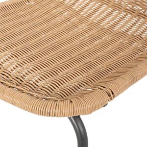 Christopher Knight Home Dinah Outdoor Wicker Dining Chair (Set of 2), Light Brown, Black