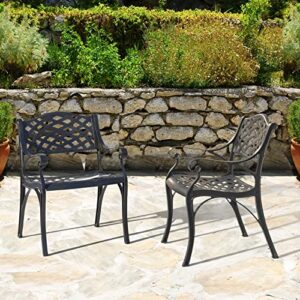 Nuu Garden Patio Dining Chairs Set of 2, Aluminum Outdoor Indoor Patio Chairs with Arms for Garden, Backyard, Porch, Black with Gold Points