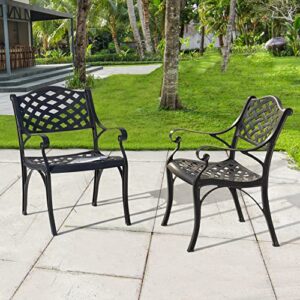 Nuu Garden Patio Dining Chairs Set of 2, Aluminum Outdoor Indoor Patio Chairs with Arms for Garden, Backyard, Porch, Black with Gold Points