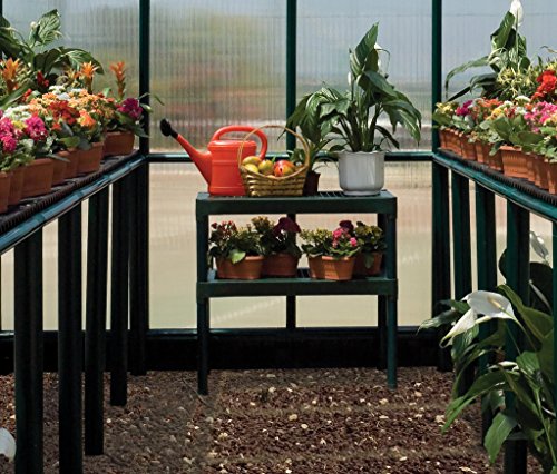 Rion Palram - Canopia 2-Tier Greenhouse Work Bench, Dark Green, 31.4''Lx15.7''Wx33.4''H