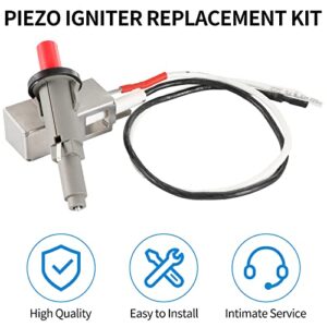 Huazu Ignite Your Weber Grill with The Igniter Kit - Replacement Piezo Igniter Assembly for 7510, Spirit Genesis, Platinum, Silver and Gold Gas Grills