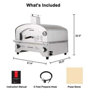 Propane Pizza Oven, PZ101SN Outdoor Gas Pizza Oven with 13" Pizza Stone, Portable Gas Fired Pizza Maker for Outside, Stainless Steel