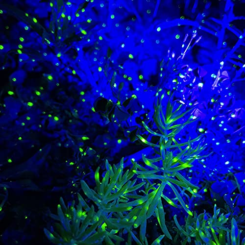 Dalanpa Firefly Garden Lights Star Projector with Blue Nebula Outdoor Decoratice Lighting