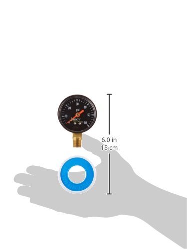 Zodiac R0556900 Pressure Gauge Replacement for Select Zodiac Jandy CS and CJ Series Cartridge Filter