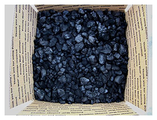 Unbranded BITUMINOUS Blacksmith Coal Metallurgical COKING Coal 1/2 Cubic FT About 25 LBs