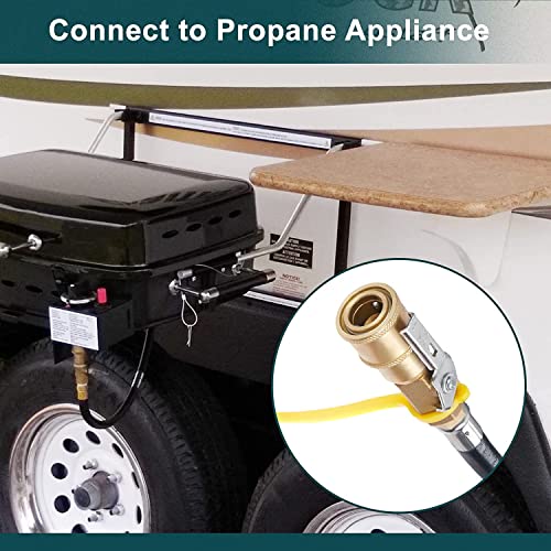 GASPRO 20ft RV Propane Quick Connect Hose - Low Pressure Extension Hose with 1/4" Disconnect Fittings - Ideal for Gas Grills, Griddles, Stoves, Fire Pits