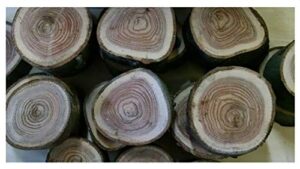 ltd red oak wood chunks/slices for bbq/grilling/wood smoking!!!