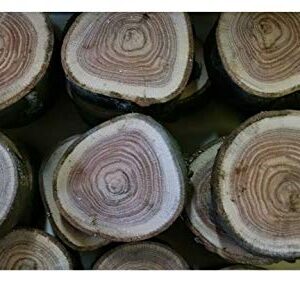 LTD Red Oak Wood Chunks/Slices for BBQ/Grilling/Wood Smoking!!!