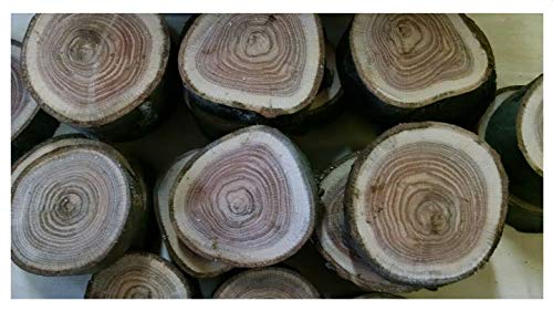 LTD Red Oak Wood Chunks/Slices for BBQ/Grilling/Wood Smoking!!!