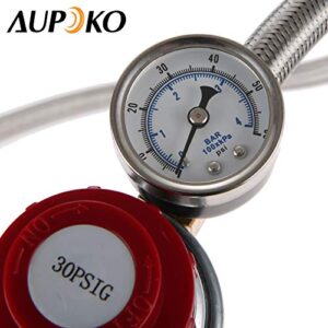 Aupoko Adjustable Propane Regulator Stainless Braided Hose 0-30 PSI with Gauge, 2 Y-Splitter Hose QCC1/Type1 to 3/8" Female Flare Fitting, for Heaters/Grills, Fire Pit High Pressure Regulator Valve