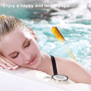 Joepoe SPA Mineral Stick Parts with 4 Months Lifetime Cartridge Universal for Hot Tub&Pool (5-Pack)