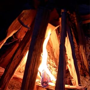 FIRECORN Fire Starter - All Natural Instant Firestarter for BBQ, Campfire, Pizza Oven, Firepit, Charcoal, Briquette - 1 Bag (200 Grams)