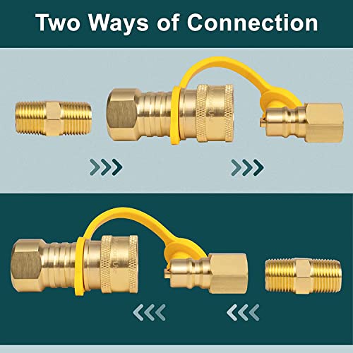 GASPRO 3/8 Inch Natural Gas Quick Connect Fittings, Natural and Propane Gas Hose Plug Set, 100% Solid Brass