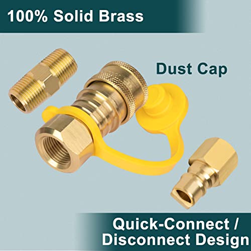 GASPRO 3/8 Inch Natural Gas Quick Connect Fittings, Natural and Propane Gas Hose Plug Set, 100% Solid Brass