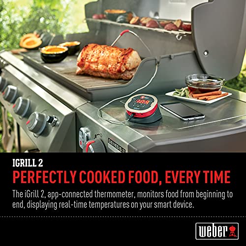 Weber iGrill 2 Thermometer