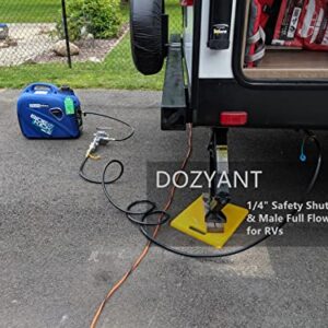 DOZYANT 12 feet Low Pressure Propane Quick-Connect Hose, RV Quick Connect Propane Hose, Quick Disconnect Propane Hose Extension - 1/4” Safety Shutoff Valve & Male Full Flow Plug for RVs