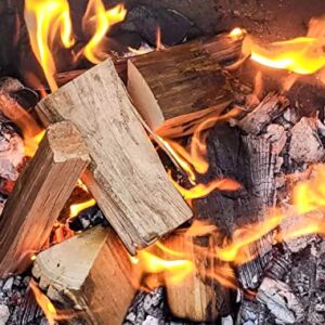 Luxury Wood cookwood Smoker Wood Smoak firewood fire Cooking Pizza Oven (12'')