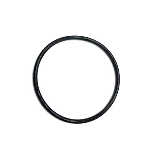 87300400 O-343 Body O-Ring for Pentair Pool & Spa Filter