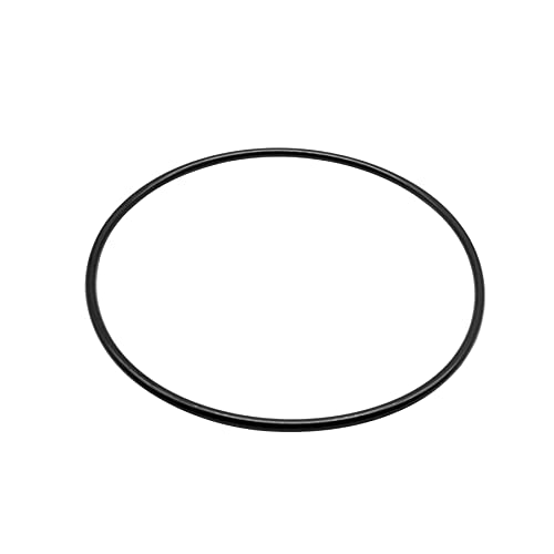 87300400 O-343 Body O-Ring for Pentair Pool & Spa Filter