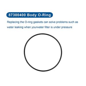 87300400 O-343 Body O-Ring for Pentair Pool & Spa Filter