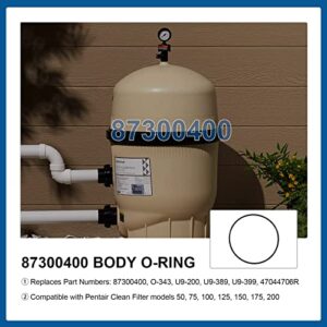 87300400 O-343 Body O-Ring for Pentair Pool & Spa Filter