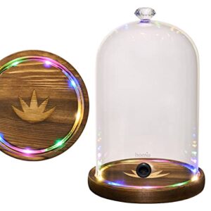 smoking gun accessory led lights glass dome 9″ x 5.7″ lid with wooden base – smoke infuser cover lid for cocktail smoker – dome for cold smoke, smoking cloche for drinks