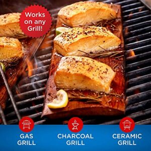 Jaccard 201406 Ready 2 Grill Pre-Soaked Cedar Plank, Small, (2-planks), Grilling Accessories – Wood Plank Serving Board