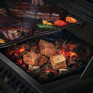 Napoleon 67027 Hickory Wood Chunks Smoker Chips, Multi