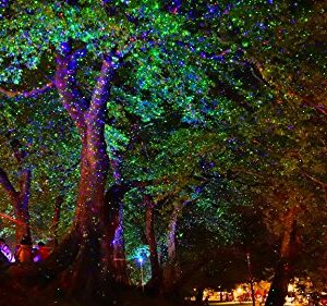 LedMAll® Red and Green Laser, and Blue LED Remote Control Christmas Lights, Garden and Landscape Lights