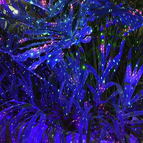 LedMAll® Red and Green Laser, and Blue LED Remote Control Christmas Lights, Garden and Landscape Lights