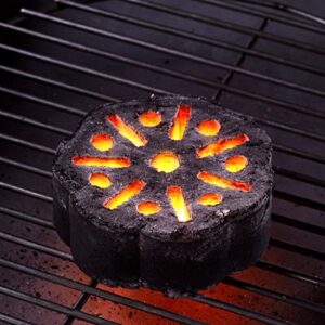 Lokkii, Ready to Lite-Premium Barbeque Briquettes, Contains 2 Individually Wrapped Briquettes