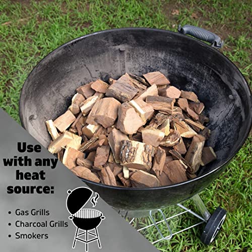 Steven Raichlen All Natural Apple Wood Chunks for Smoking Meat - 840 Cu. in. Box, Approx 10 Lbs - Kiln Dried Large Cut BBQ Wood Chips for Smoker - Barbecue Smoker Accessories - Grilling Gifts for Men