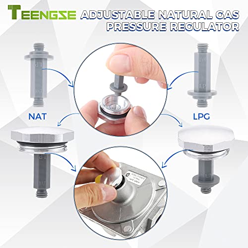 TEENGSE Natural Gas Pressure Regulator, 3/4" FNPT Thread Gas Propane Pressure Regulator, Adjustable LPG/NG Grill Regulator for NG/LPG Applications