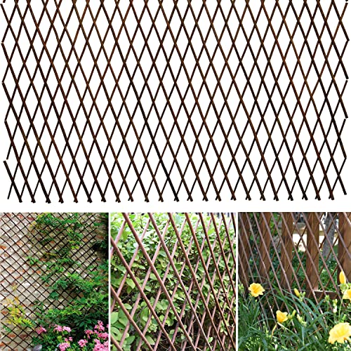 86 York Expandable Willow Lattice Fence Panel for Climbing Plants Vine Ivy Rose Cucumbers Clematis (4)