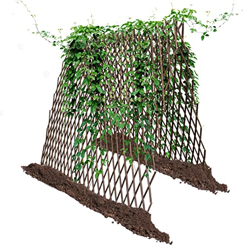 86 York Expandable Willow Lattice Fence Panel for Climbing Plants Vine Ivy Rose Cucumbers Clematis (4)