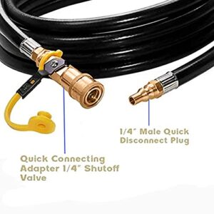 GCBSAEQ 20 Feet RV Propane Hose Quick Connect, Low Pressure Propane Extension Hose with 1/4" Safety Shutoff Valve